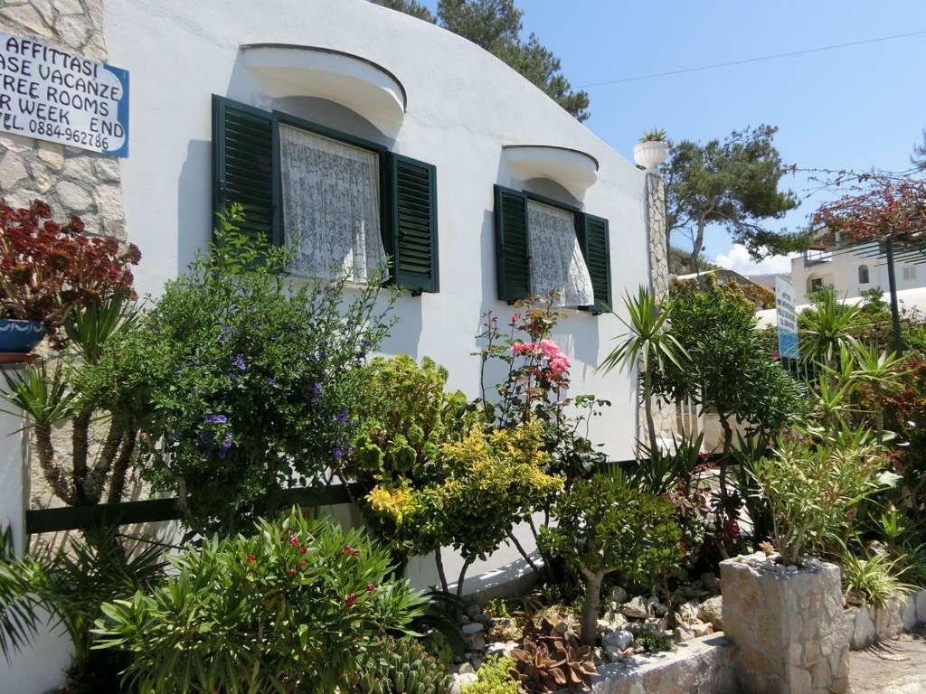 Blu Marine Casa A 10Mt Dalla Spiaggia Peschici Exterior photo